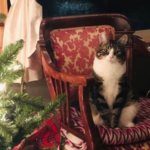 Meet your Posher, Adam